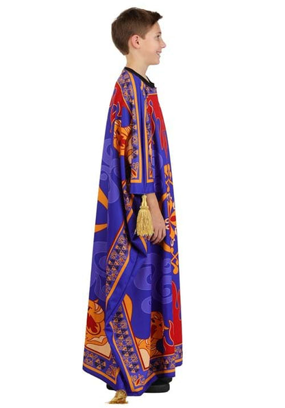 Kid's Disney Aladdin Magic Carpet Costume - US 6324