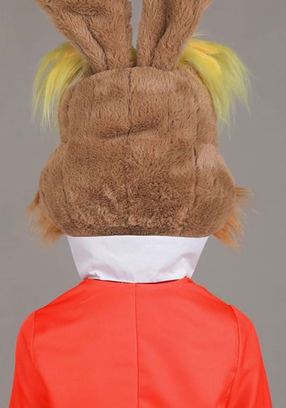 Boy's Disney Alice in Wonderland March Hare Costume - US 7262