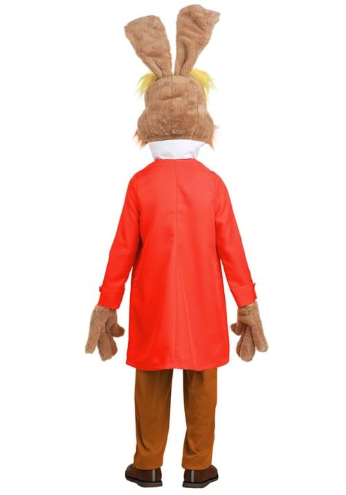 Boy's Disney Alice in Wonderland March Hare Costume - US 7262