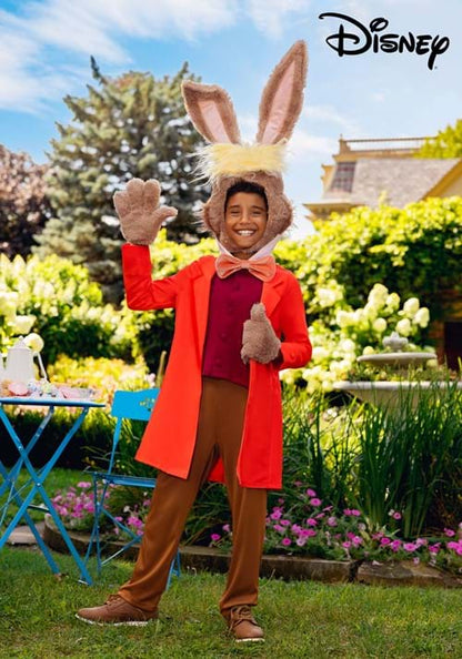 Boy's Disney Alice in Wonderland March Hare Costume - US 7262