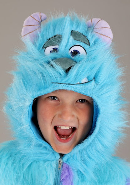 Disney Hooded Monsters Inc Sulley Costume for Kids - US 3521