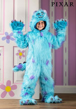 Disney Hooded Monsters Inc Sulley Costume for Kids - US 3521
