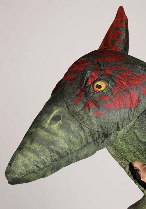 Inflatable Kid's Pteranodon Costume - US 9432