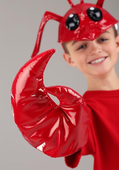 Kid's Red Lobster Accessory Costume Kit - US 5782