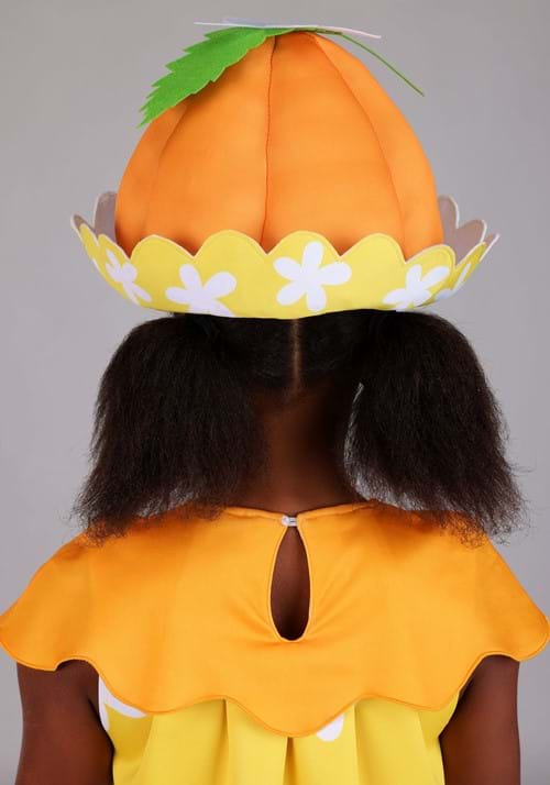 Girl's Orange Blossom Strawberry Shortcake Costume - US 1097