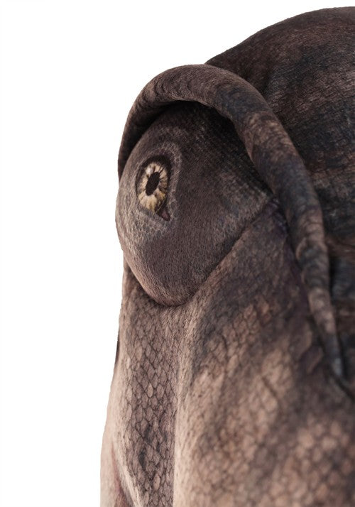 T-Rex Costume for Kids - US 6356