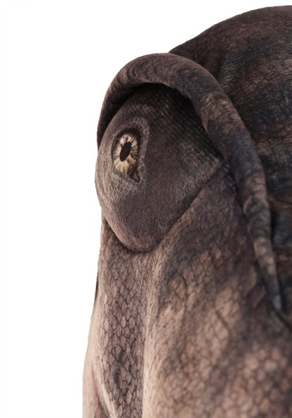 T-Rex Costume for Kids - US 6356
