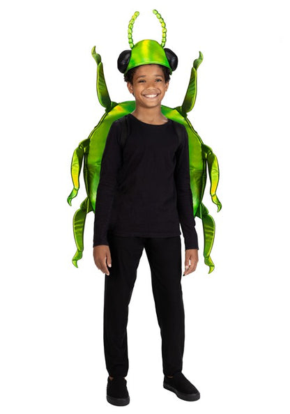 Kid's Tansy Beetle Shiny Bug Costume - US 3921
