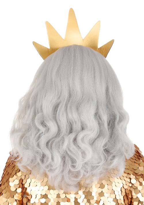 Disney King Triton Beard and Wig Costume Accessory Kit - US 6002