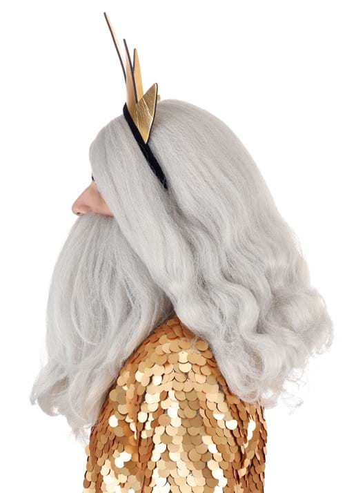 Disney King Triton Beard and Wig Costume Accessory Kit - US 6002