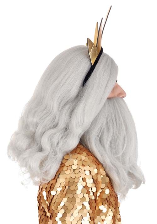 Disney King Triton Beard and Wig Costume Accessory Kit - US 6002