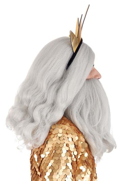 Disney King Triton Beard and Wig Costume Accessory Kit - US 6002