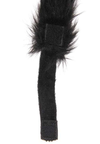 Cat Ears and Tail Costume Accessory Kit - US 4894