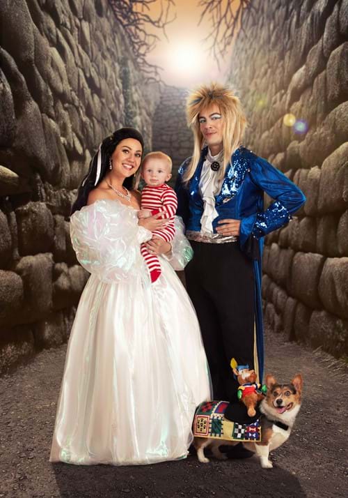 Labyrinth Deluxe Jareth Adult Costume - US 9124