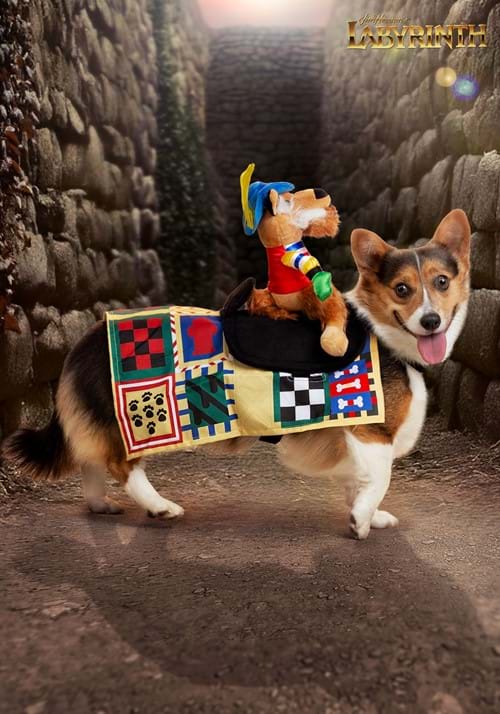 Labyrinth Sir Didymus Pet Costume - US 4268