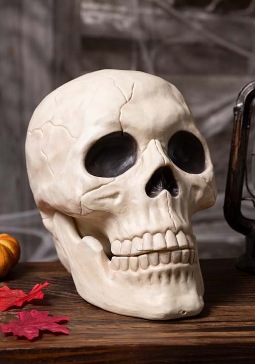 10-Inch Large Skull with Moveable Jaw Decoration - US 0626