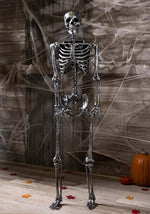 5FT Life Size Dark Grey Skeleton Decoration - US 6241