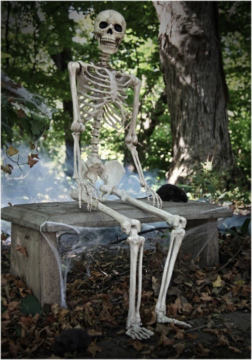 5FT Realistic Poseable Skeleton Halloween Prop - US 0370
