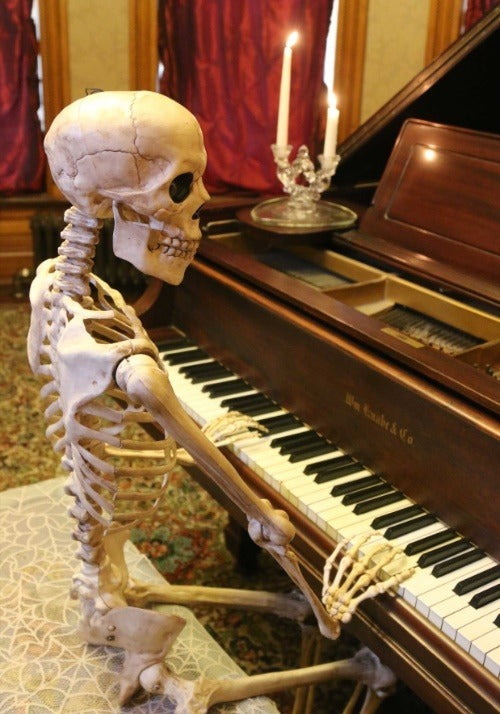 5FT Realistic Poseable Skeleton Halloween Prop - US 0370