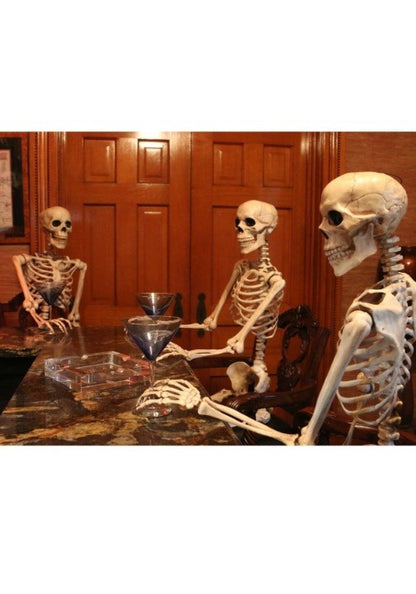 5FT Realistic Poseable Skeleton Halloween Prop - US 0370