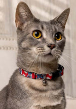 Disney Lilo & Stitch Cat Collar Breakaway - US 9860