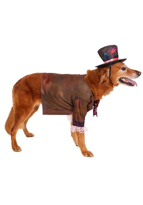 Live Action Disney Mad Hatter Pet Costume - US 8705