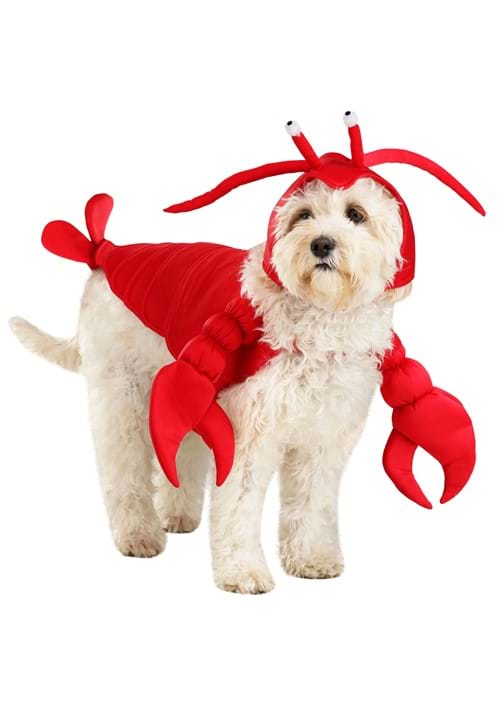 Red Lobster Pet Costume - US 1956