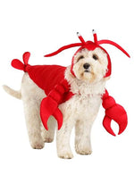 Red Lobster Pet Costume - US 1956