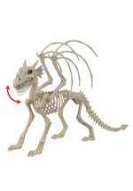 27-Inch Animated Majestic Dragon Skeleton Decoration - US 4091
