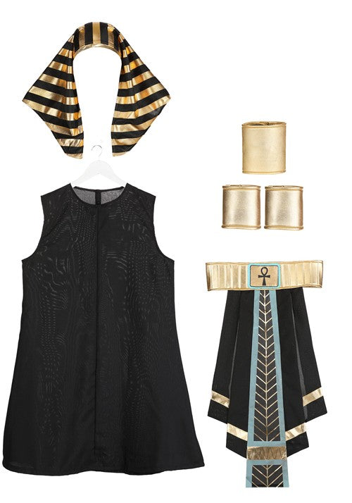 Dark Egyptian Pharaoh Men's Costume - US 6929
