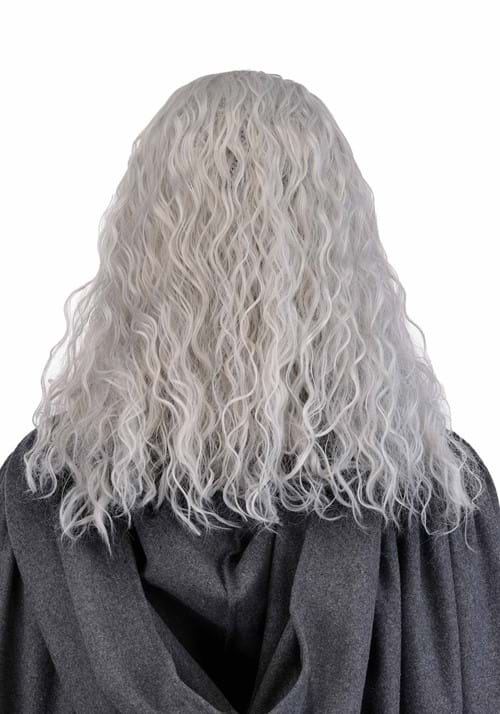 Men's Lord of the Rings Gandalf Costume Wig and Beard Set - US 4764