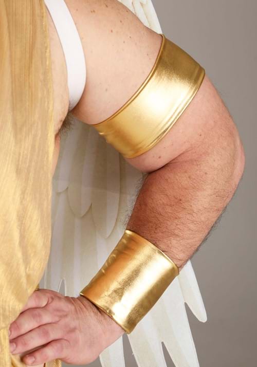 Men's Plus Size Sexy Angel Costume - US 9326