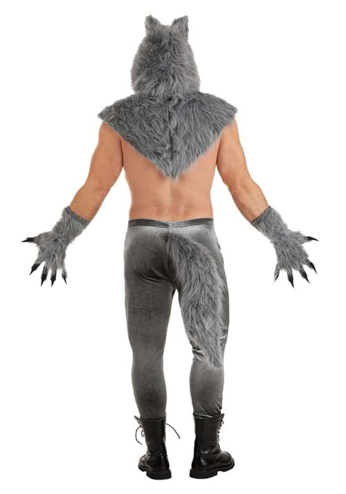 Sexy Wolf Costume for Men - US 4872
