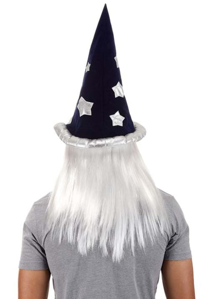 Merlin Beard and Wig Costume Kit - US 8944