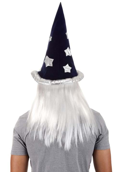 Merlin Beard and Wig Costume Kit - US 8944