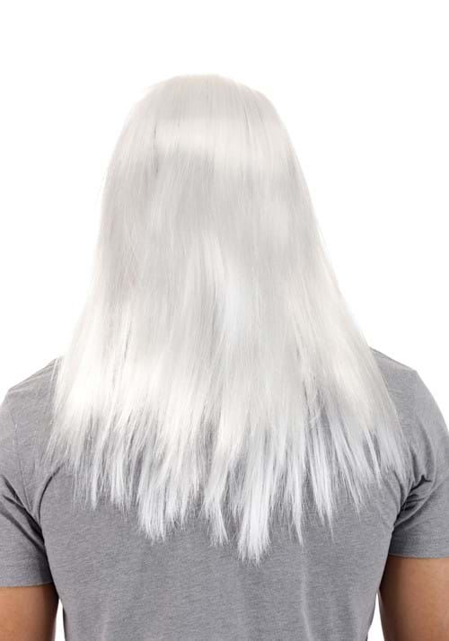 Merlin Beard and Wig Costume Kit - US 8944