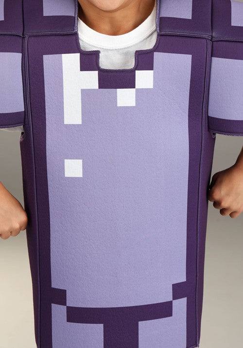 Kid's Minecraft Enchanted Armor Deluxe Kid's Costume - US 0491