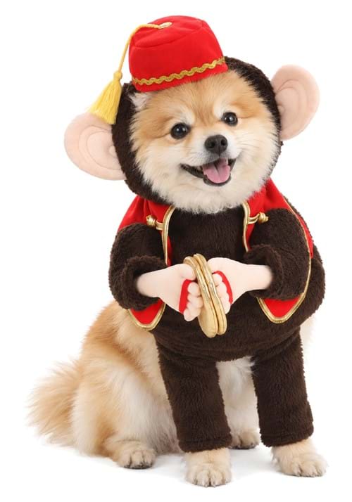 Pet Circus Monkey Costume - US 6638
