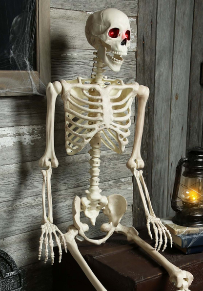 5FT Animated Mr. Crazy Bonez Poseable Human Skeleton Decoration Prop - US 0032