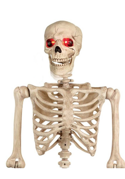 5FT Animated Mr. Crazy Bonez Poseable Human Skeleton Decoration Prop - US 0032