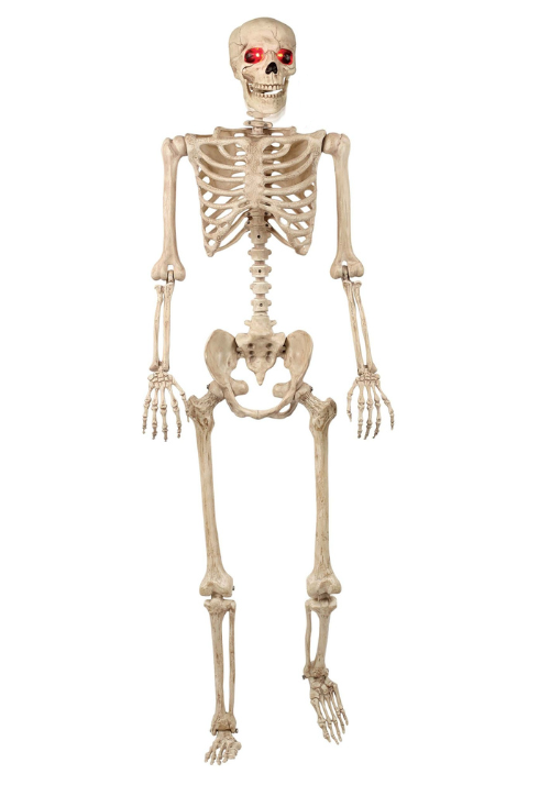 5FT Animated Mr. Crazy Bonez Poseable Human Skeleton Decoration Prop - US 0032