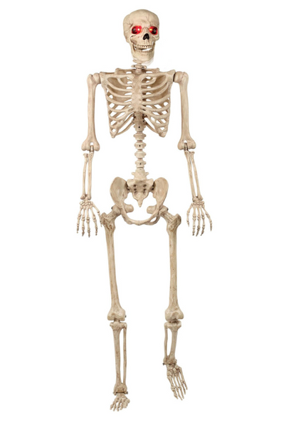 5FT Animated Mr. Crazy Bonez Poseable Human Skeleton Decoration Prop - US 0032