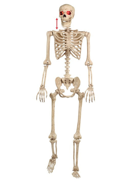5FT Animated Mr. Crazy Bonez Poseable Human Skeleton Decoration Prop - US 0032