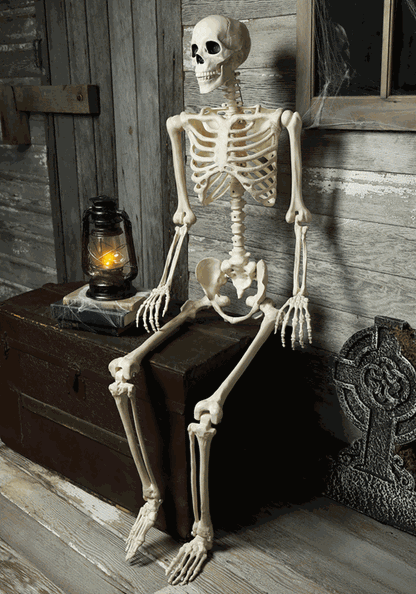 5FT Animated Mr. Crazy Bonez Poseable Human Skeleton Decoration Prop - US 0032
