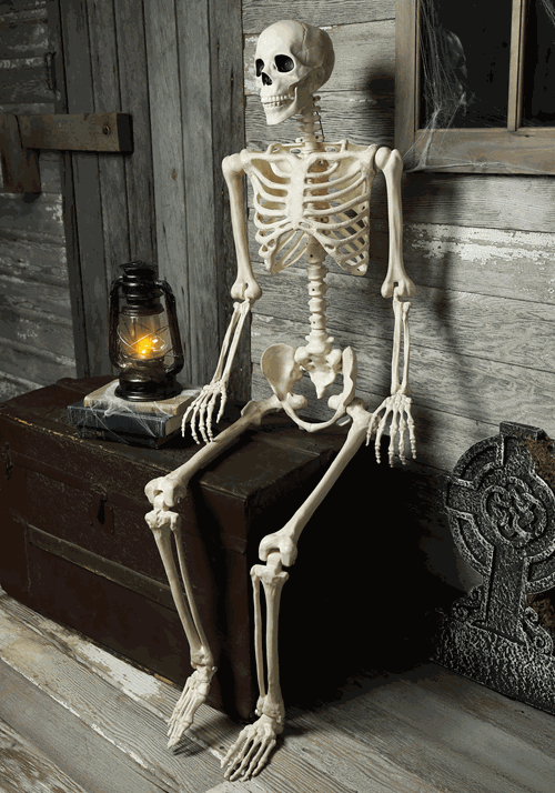 5FT Animated Mr. Crazy Bonez Poseable Human Skeleton Decoration Prop - US 0032