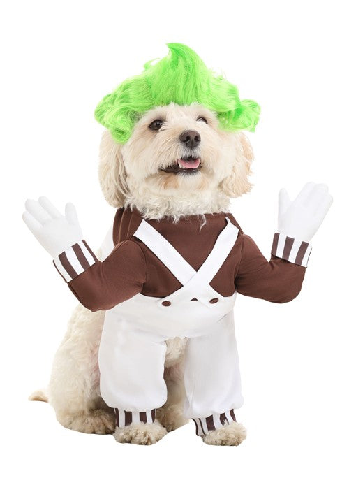 Oompa Loompa Costume for Dogs - US 0221