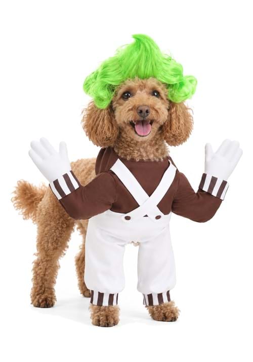 Oompa Loompa Costume for Dogs - US 0221