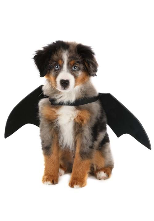 Bat Wings Costume for Pets - US 1619