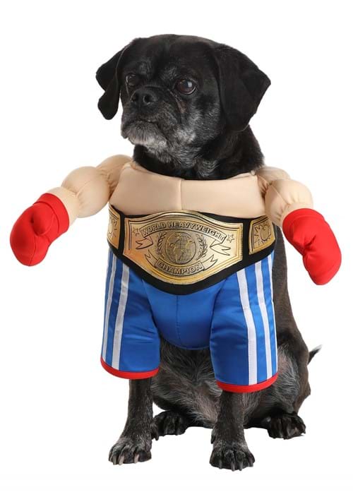 Champion Boxer Pet Costume - US 9763