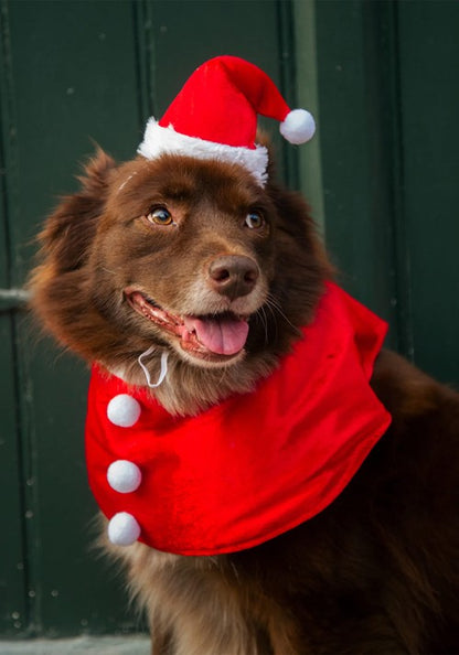 Santa Costume Collar for Pets - US 9614